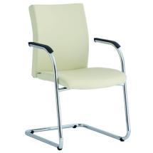 Čalouněná židle s područkami FOCUS (FO 649 E) 